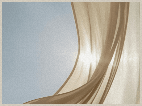 인지적 자연스러움