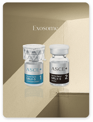 엑소좀
